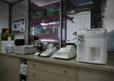 zona-de-laboratorio-clinica-veterinaria-la-antilla