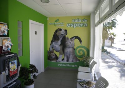 sala-de-espera-clinica-veterinaria-la-antilla